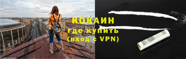 мдпв Вяземский
