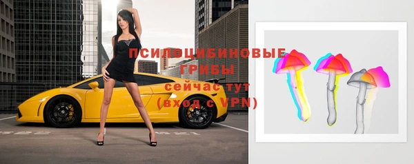мдпв Вяземский
