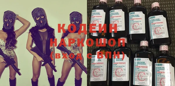мдпв Вяземский