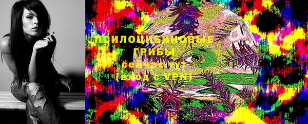 мдпв Вяземский