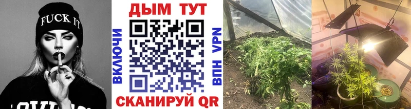 Конопля марихуана  где купить наркоту  Жуков 